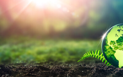 The Role of ESG Reporting in Indian Corporate Governance